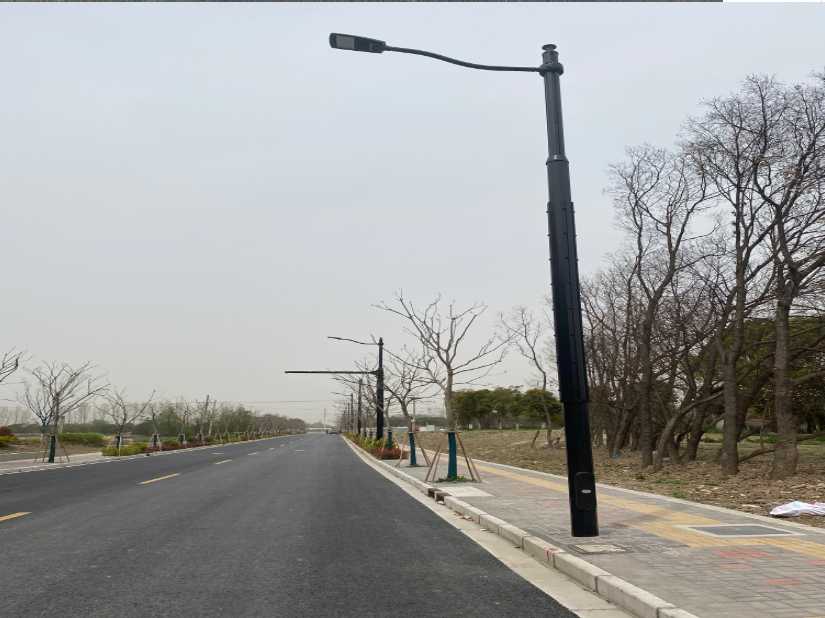从化区上海综合杆 太阳能路灯工程